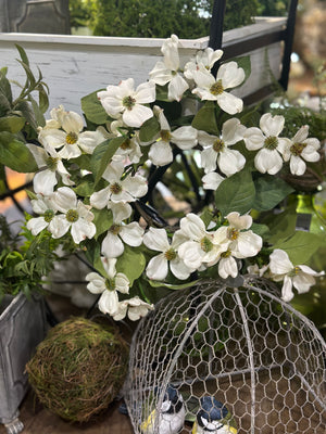 13" Dogwood Candle Ring Cream