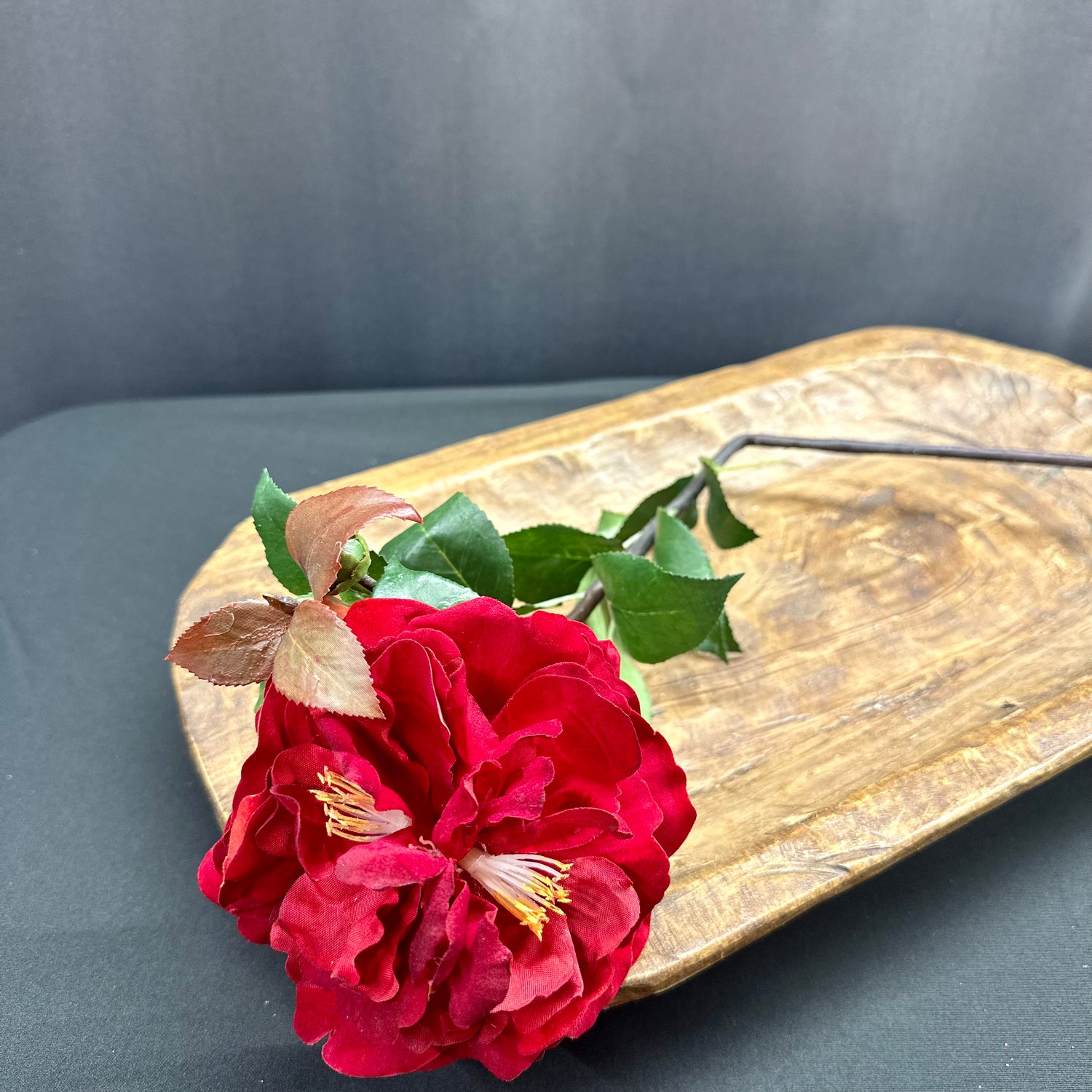 37" Red Camelia Stem