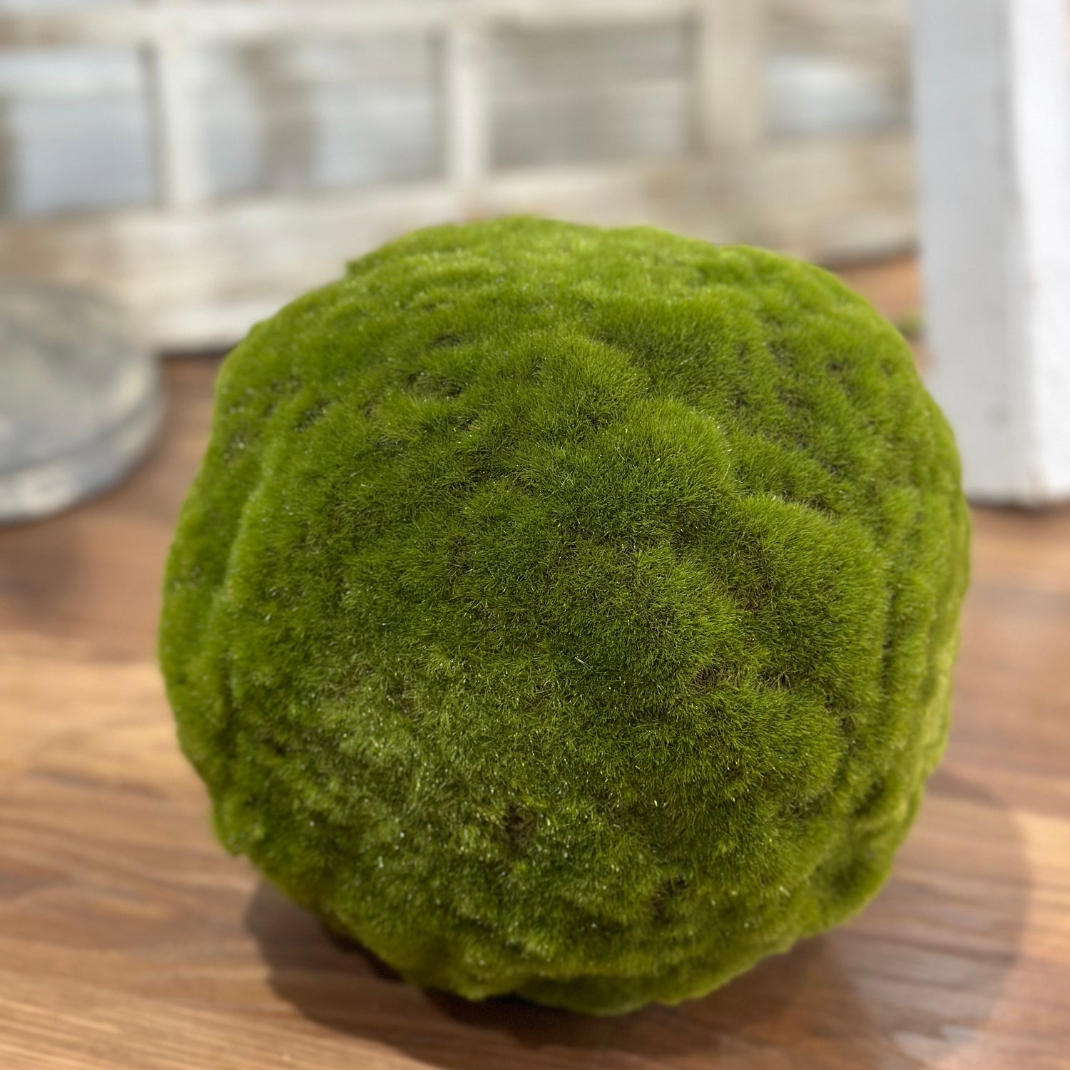 9" Green Medium Moss Ball