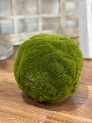 9" Green Medium Moss Ball