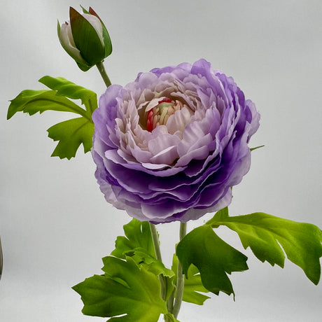 Purple Ranunculus Spray, additional view