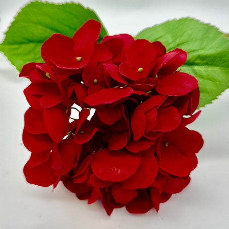 Red Natural Hydrangea Blossom Stem, additional view