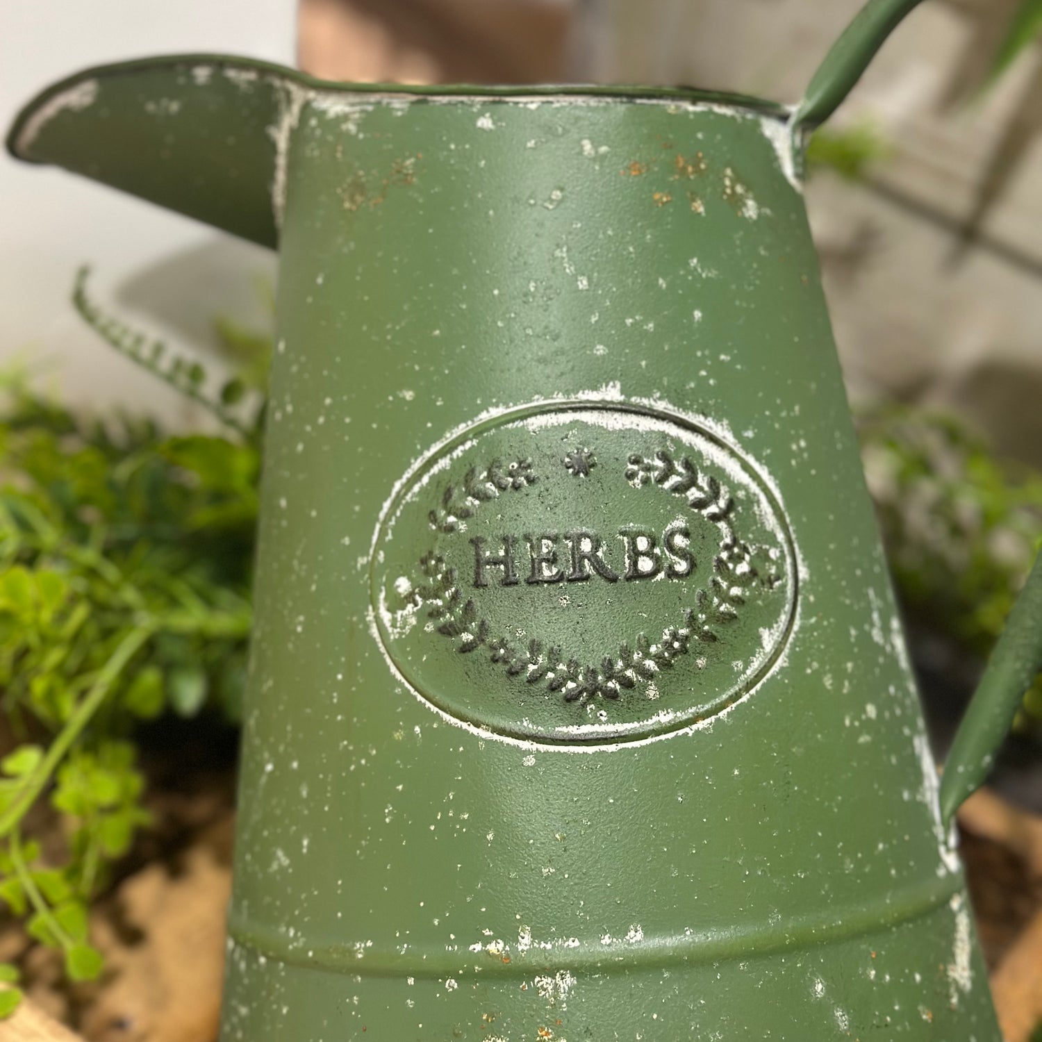 12” Pitcher Green