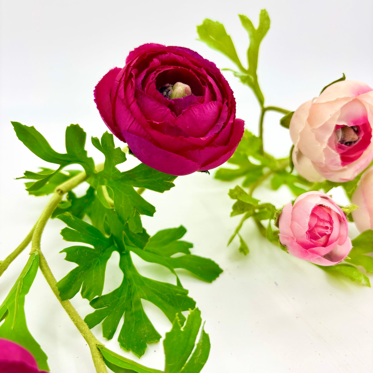 RANUNCULUS W BUDS STEM