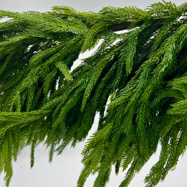 48" Delux Natural Touch Norfolk Pine Garland