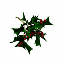12" Fresh Cut Holly Sprig Bundle