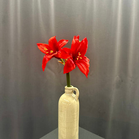 17 inch Red Star Amaryllis Stem