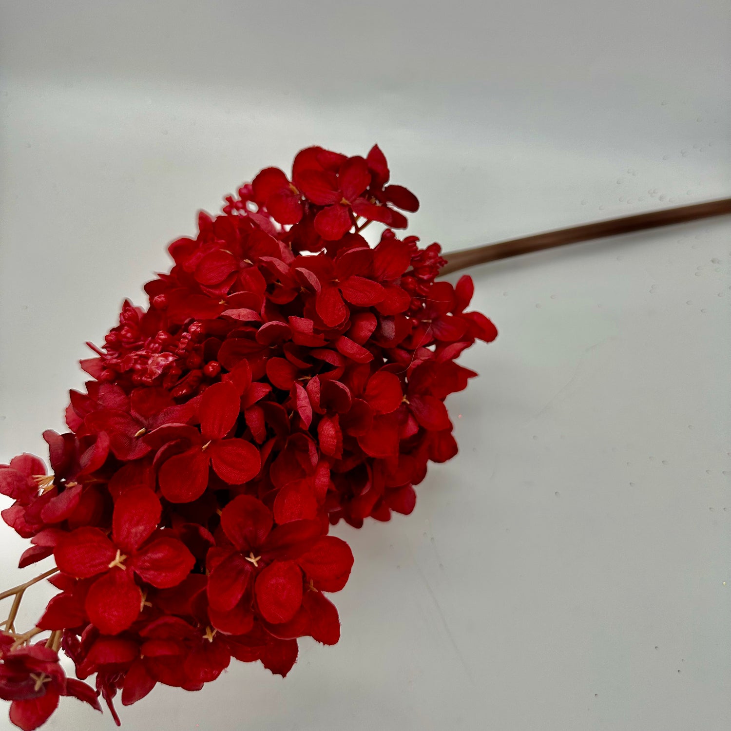 29" Dark Red Peegee Hydrangea Stem