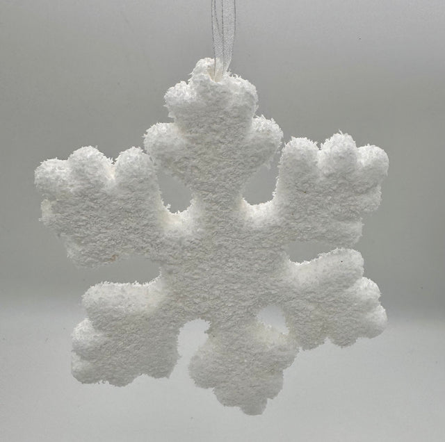 6" Snowflake Foam Ornament