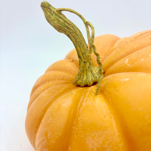 6.5"/7" Soft Touch Weathered Pumpkins | Available in Butternut & Orange