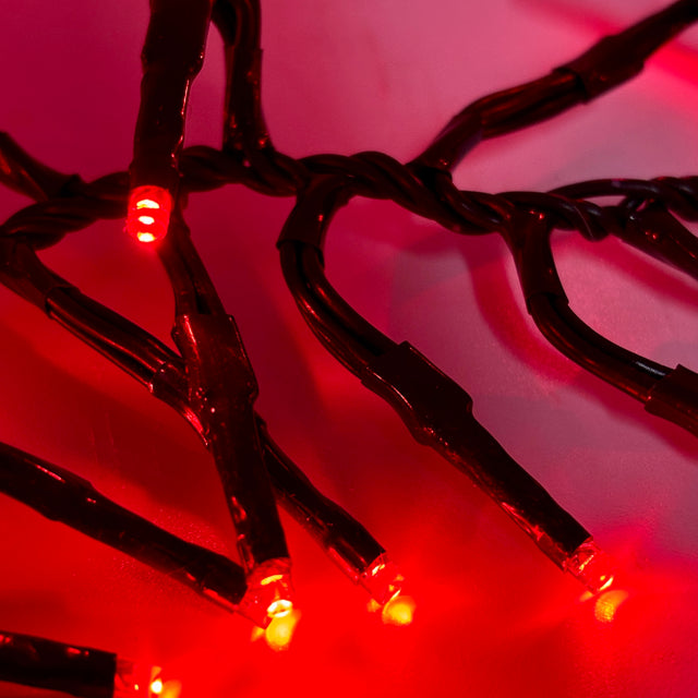 LEDs Connect Cluster Lights | 8 Function Twinkle Effect | Outdoor | Red | Starter Pack