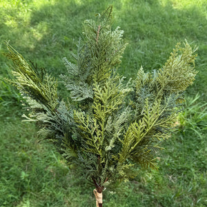 28" Cedar Greenery Bundle