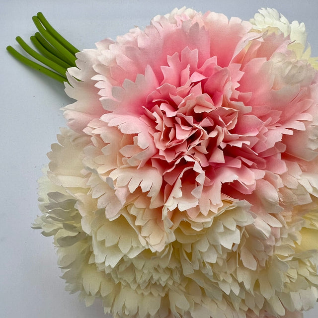 11" Blush Carnation Bundle