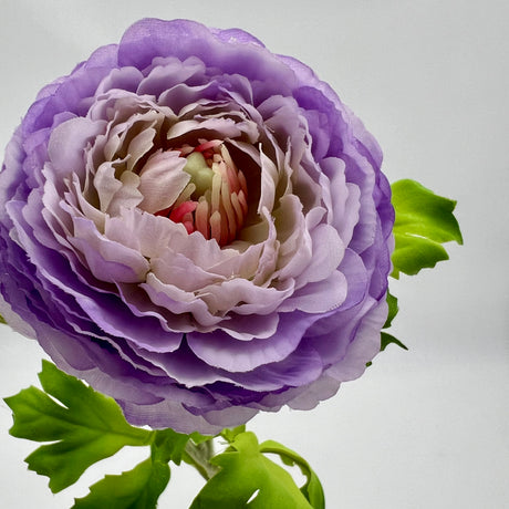 24 inch Purple Ranunculus Spray