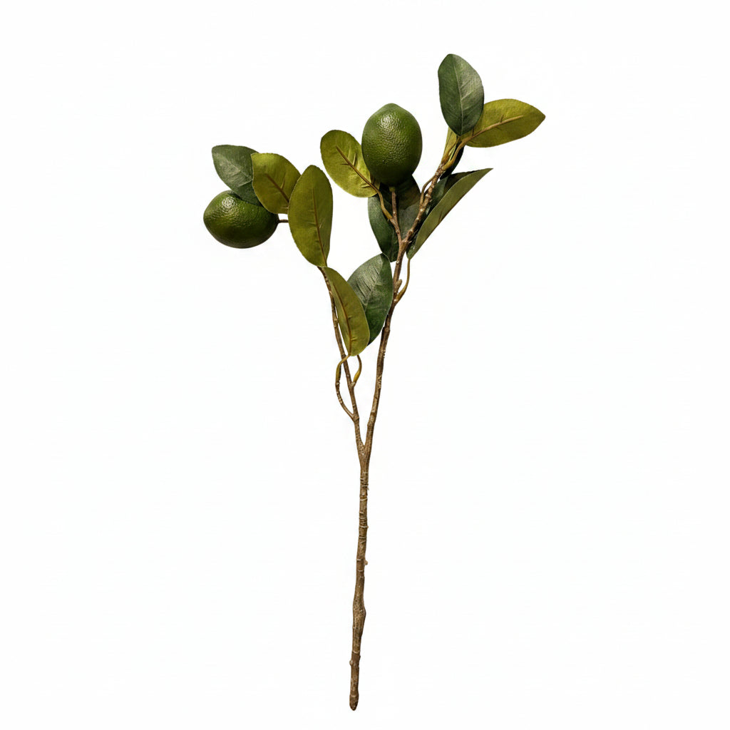 Faux Citrus Branch Lime