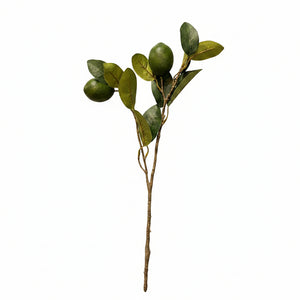 Faux Citrus Branch Lime