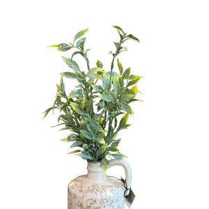18" Shades of Green Jasmine Bush