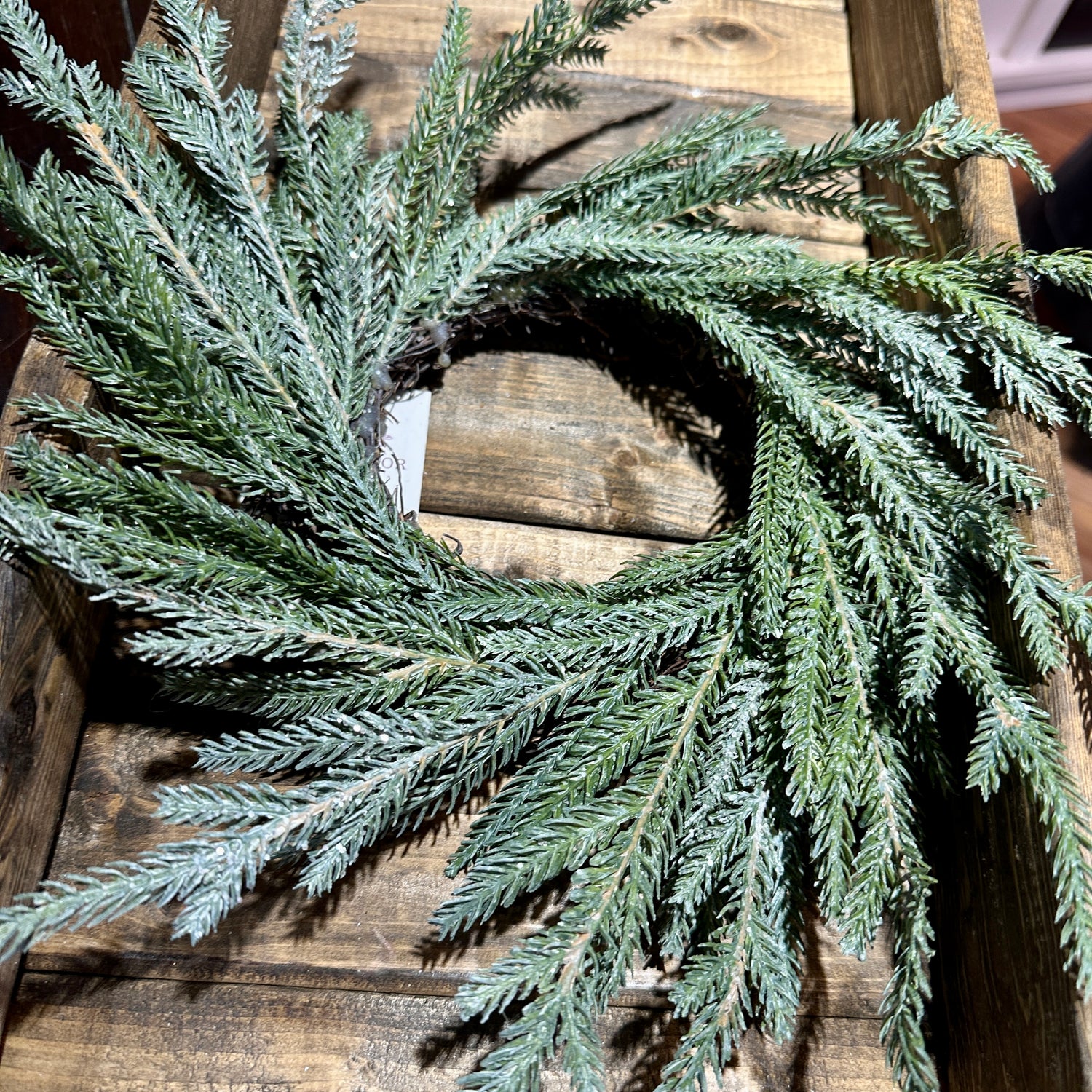 3" Frosted Austrian Pine Candle Ring