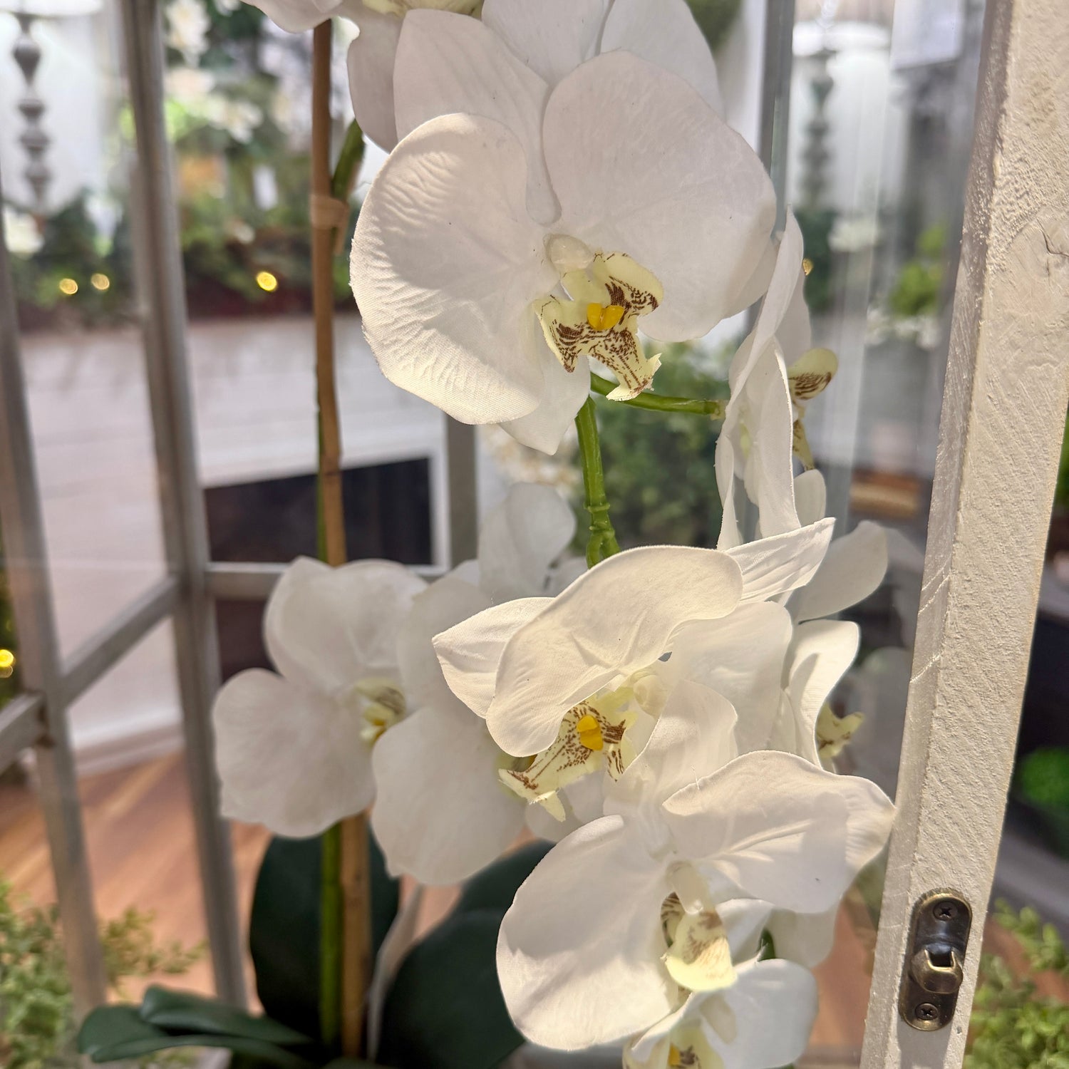 24" Natural Touch Phaleanopsis Orchid in Cement Pot White