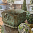Decorative metal planter with verdigris finish on a wooden surface with a blurred indoor background.