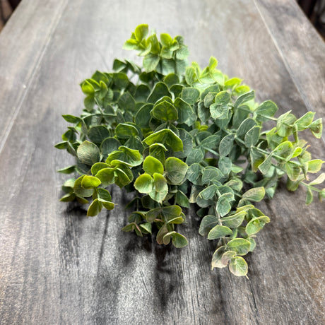 Two Tone Eucalyptus Bush, additional view
