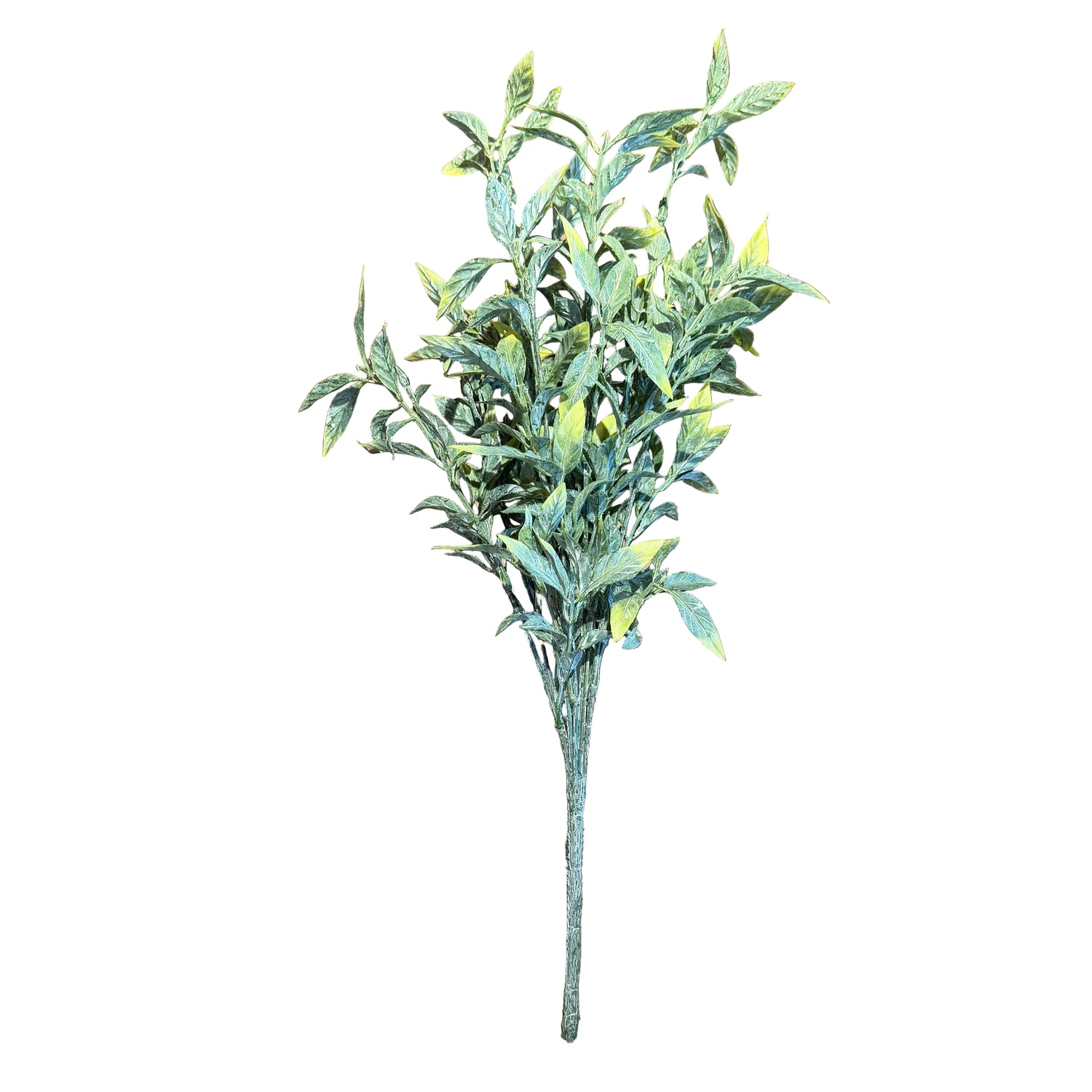 18" Shades of Green Jasmine Bush