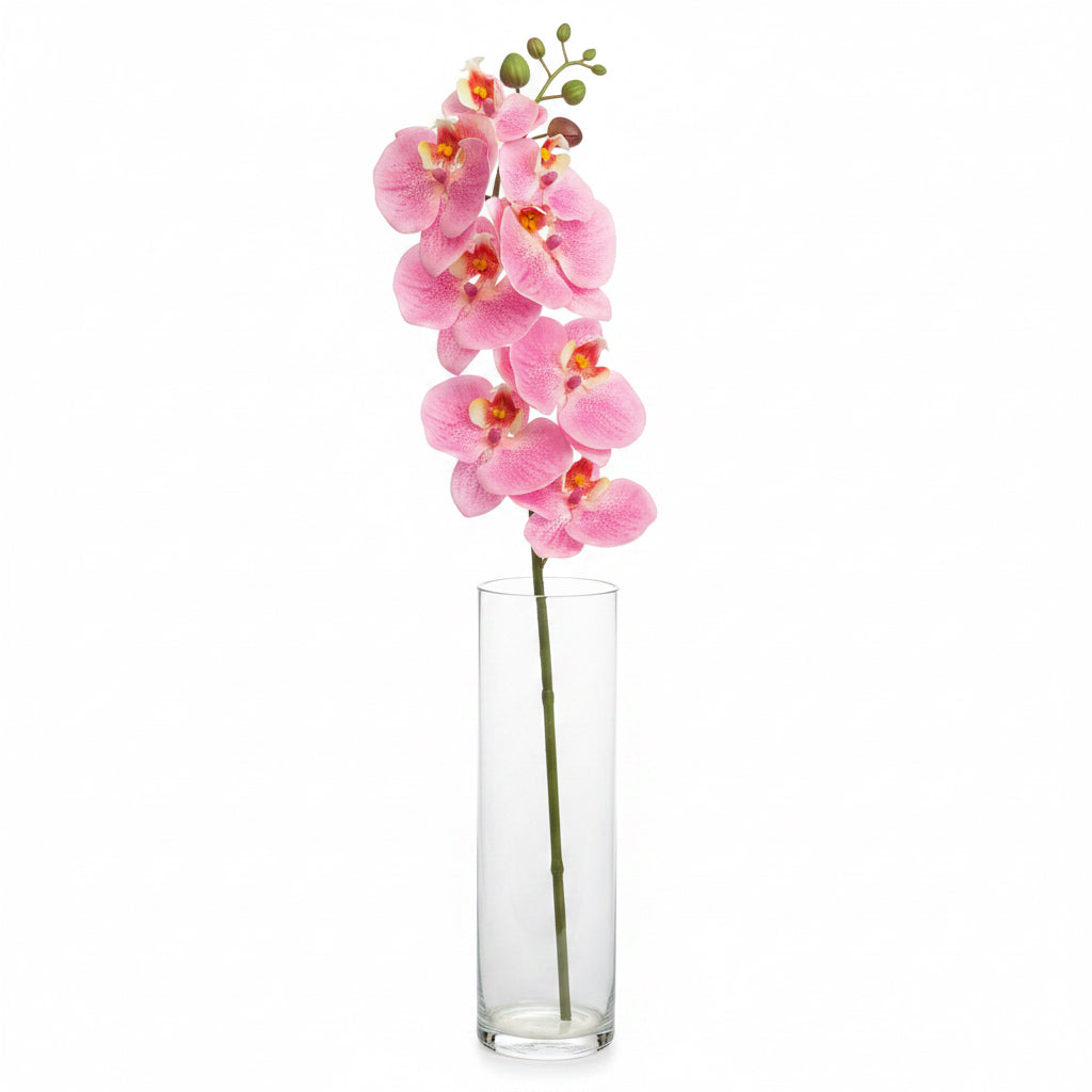 Natural Touch Phaleanopsis Orchid, Pink or White, additional view