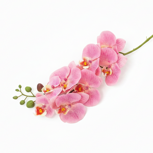 Natural Touch Phaleanopsis Orchid, Pink or White, additional view