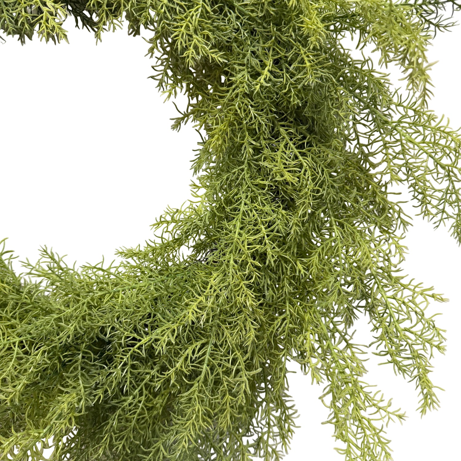 Natural Touch Asparagus Fern Wreath 24"