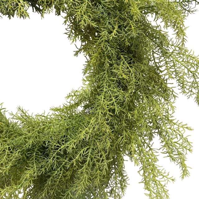 Natural Touch Asparagus Fern Wreath 24"