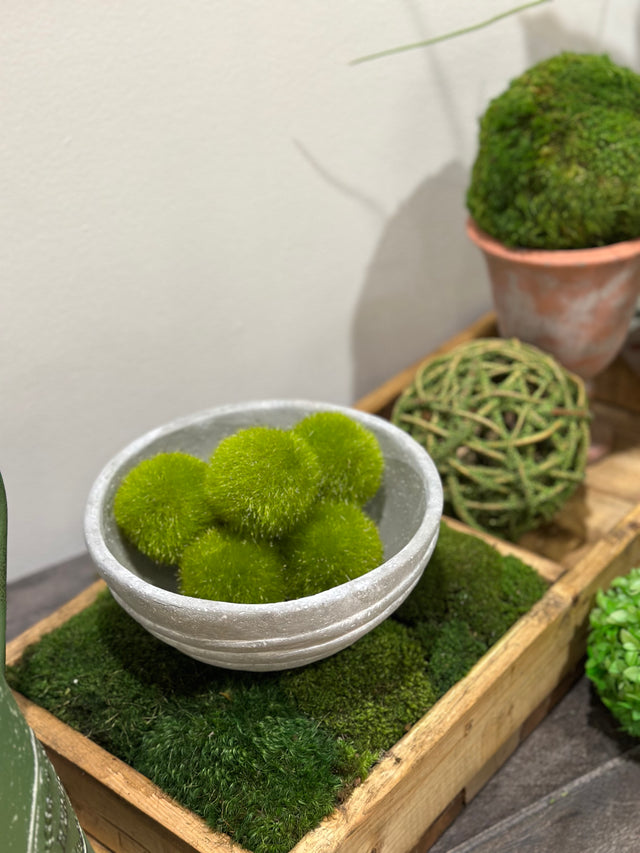 3" Layered Design Concrete Pot