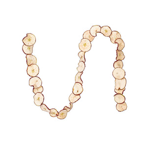 10ft Natural & Dried Sliced Apple Garland
