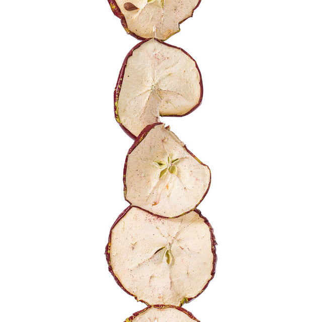 10ft Natural & Dried Sliced Apple Garland