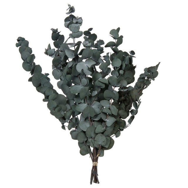 18" Green Eucalyptus Spiral Bundle