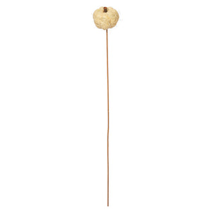Natural Coconut Coir Pumpkin on 20" Stem | Orange or Cream
