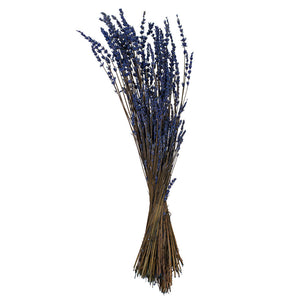 20" Purple | Dried | Preserved | Lavender Bunch