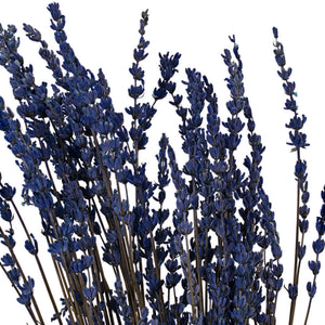 20" Purple | Dried | Preserved | Lavender Bunch