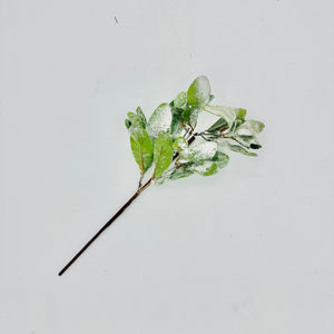 18" Frosted Lambs Ear Pick