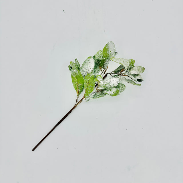 18" Frosted Lambs Ear Pick