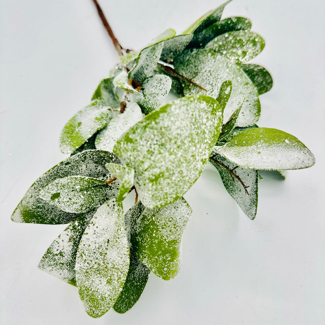 18" Frosted Lambs Ear Pick
