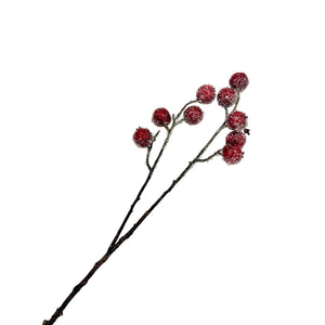 27.5" Iced Rosehip Spray