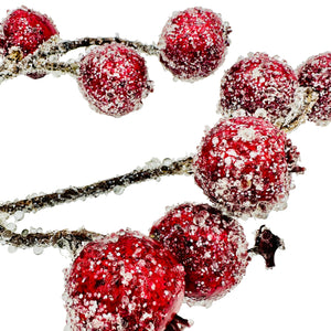 27.5" Iced Rosehip Spray