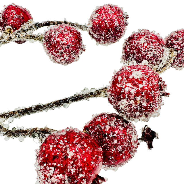 27.5" Iced Rosehip Spray