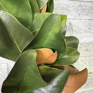 26" Natural Look Magnolia Wreath