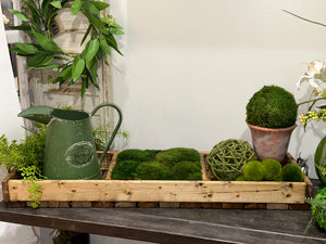34.5” One Compartment Moss Walnut Tray