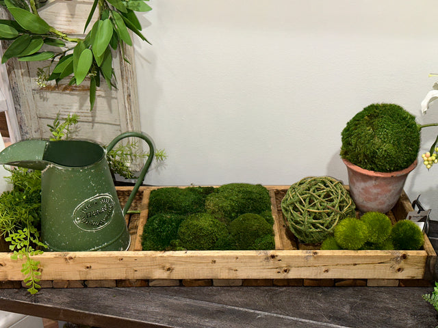 34.5” One Compartment Moss Walnut Tray