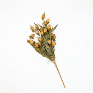 21" Chinese Lantern Stem | Available in Burgundy, Cream, and Orange