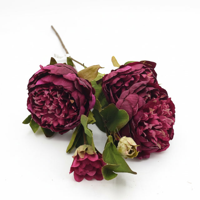 25" Dried Peony Stem | Available in Plum, Cream, Yellow, and Burgundy