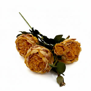 25" Dried Peony Stem | Available in Plum, Cream, Yellow, and Burgundy