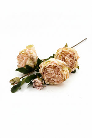 25" Dried Peony Stem | Available in Plum, Cream, Yellow, and Burgundy